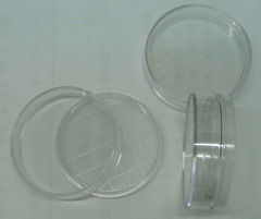 漯河市金田試驗設備研究所 技術轉讓與合作，引領試驗設備新未來