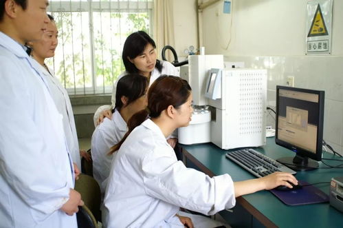 50余人的工藝攻關(guān)隊(duì) 從技術(shù)攻堅(jiān)到成果轉(zhuǎn)化之路